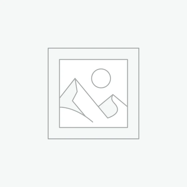 لپتاپ استوک سرفیس پرو Microsoft Surface Pro 12 SNAPDRAGON X PLUS/16GB DDR5/256GB